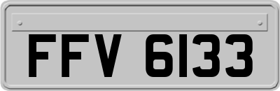 FFV6133