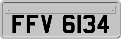 FFV6134