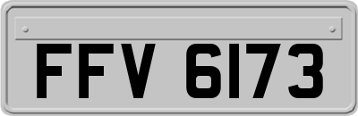 FFV6173