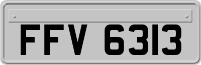FFV6313