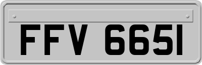 FFV6651