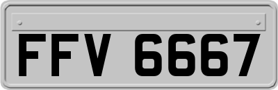 FFV6667