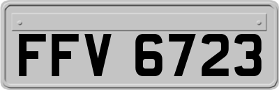 FFV6723