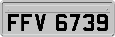 FFV6739