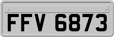 FFV6873