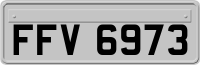 FFV6973