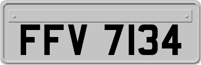 FFV7134