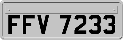 FFV7233