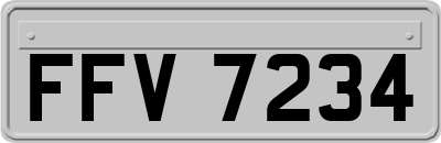 FFV7234