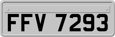 FFV7293