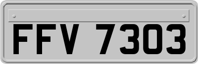 FFV7303
