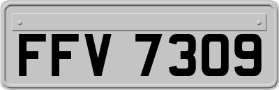 FFV7309