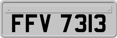 FFV7313