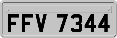 FFV7344