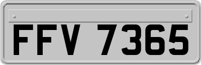 FFV7365
