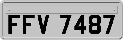 FFV7487