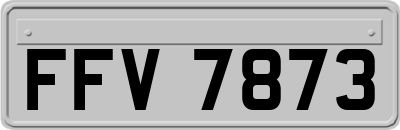 FFV7873