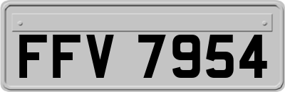 FFV7954