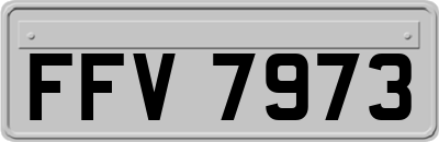 FFV7973