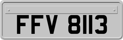 FFV8113