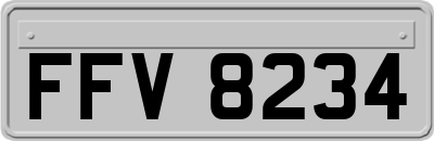 FFV8234
