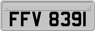FFV8391
