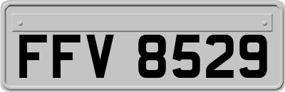 FFV8529