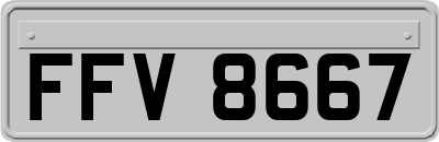 FFV8667