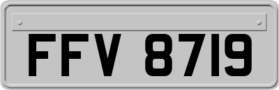 FFV8719
