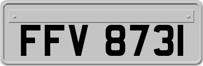 FFV8731