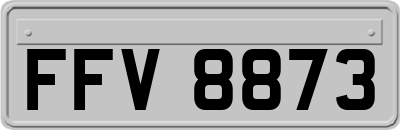 FFV8873