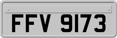 FFV9173