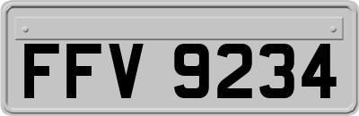 FFV9234