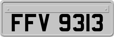 FFV9313