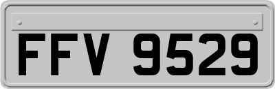 FFV9529