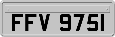 FFV9751