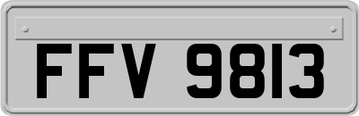 FFV9813