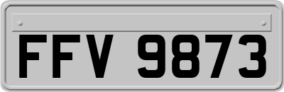 FFV9873