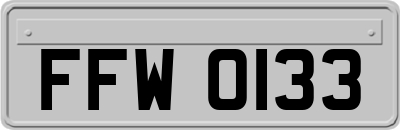 FFW0133