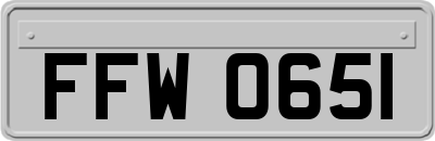 FFW0651