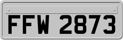 FFW2873