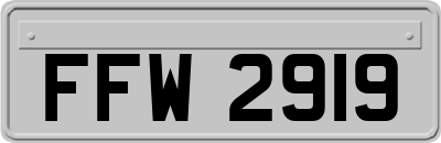 FFW2919