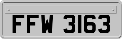 FFW3163