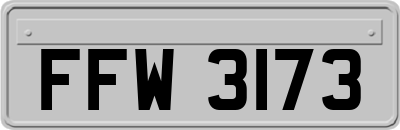 FFW3173