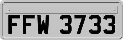FFW3733