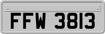 FFW3813