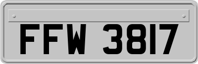 FFW3817