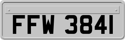 FFW3841