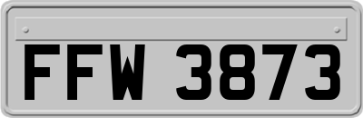 FFW3873