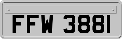 FFW3881